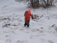2018-01-13 M. Orsello 085